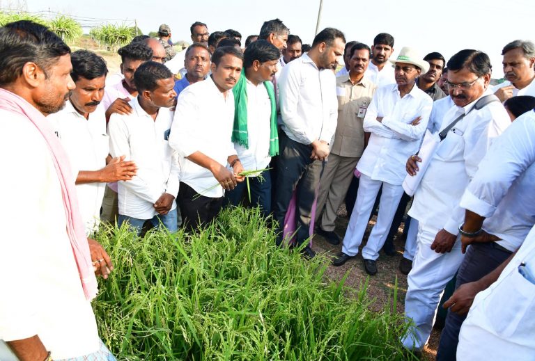 CM inspected the crops damaged by untimely rains and hailstorms